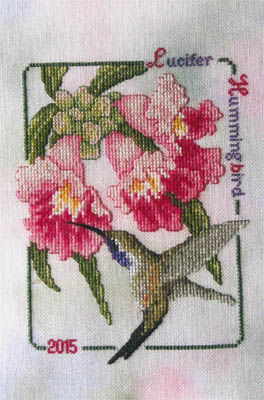 Lucifer Hummingbird - 2015 Commemorative